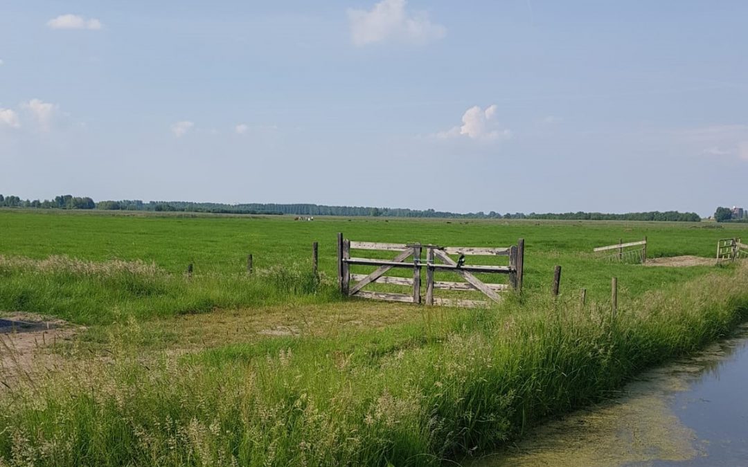 Bij mij was het altijd ‘net niet’ tot ik een belangrijke les leerde